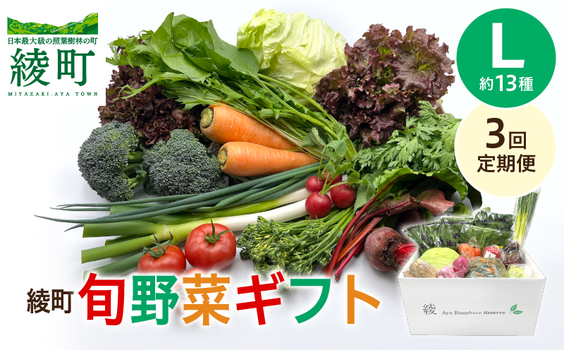 綾町旬野菜ギフト（Lサイズ）【全３回定期便】 全3回【定期便】