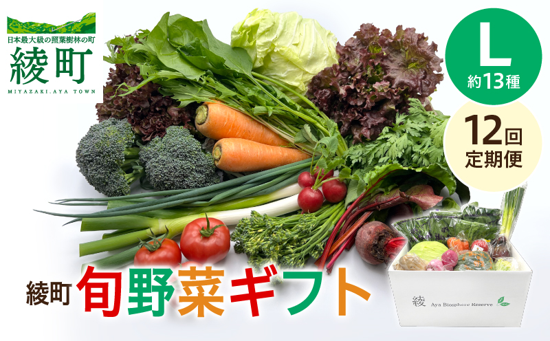 綾町旬野菜ギフト（Lサイズ）【全12回定期便】 全12回【定期便】