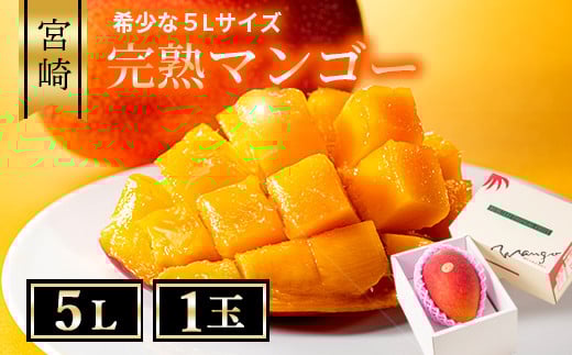完熟マンゴー５L×１玉【規格 基準 最大 濃厚 宮崎 高級 果物 フルーツ 贈答 ギフト 先行受付 送料無料】