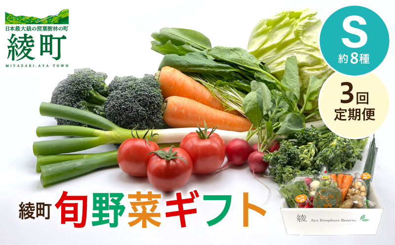 綾町旬野菜ギフト（Sサイズ）【全３回定期便】 全3回【定期便】
