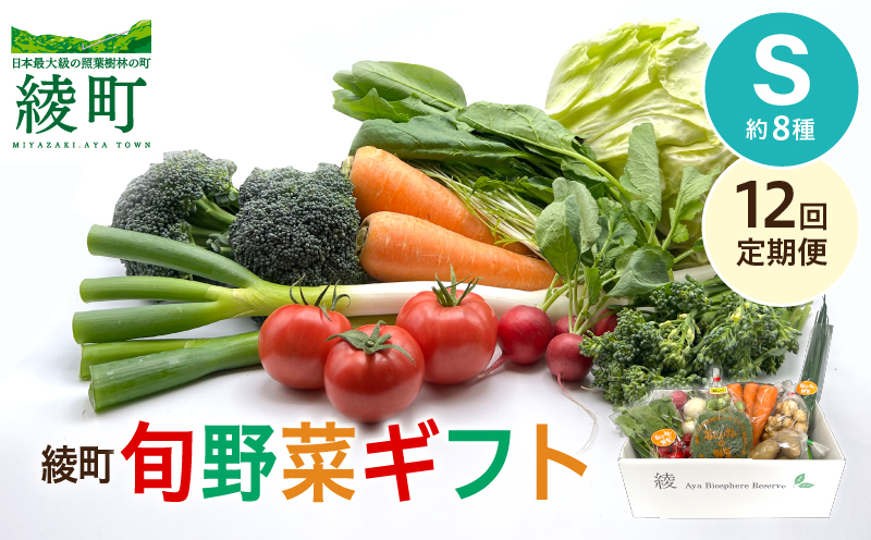 綾町旬野菜ギフト（Sサイズ）【全12回定期便】 全12回【定期便】
