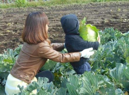 無農薬農家の農業体験　ランチ付き