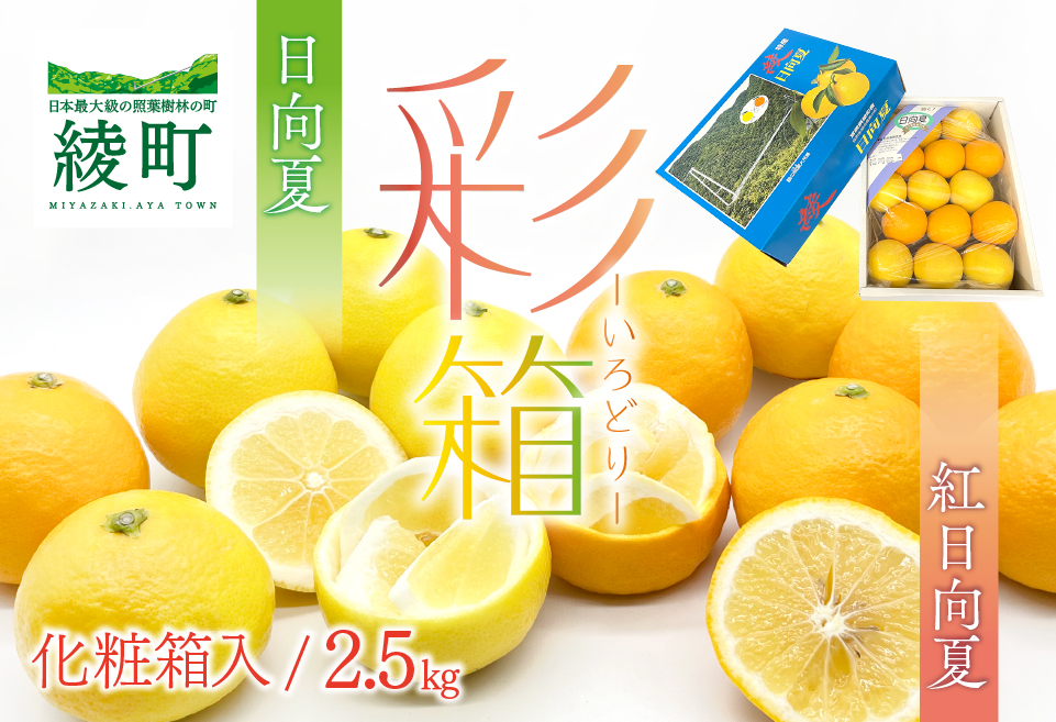 紅日向夏と日向夏の彩り箱 ２.５kg