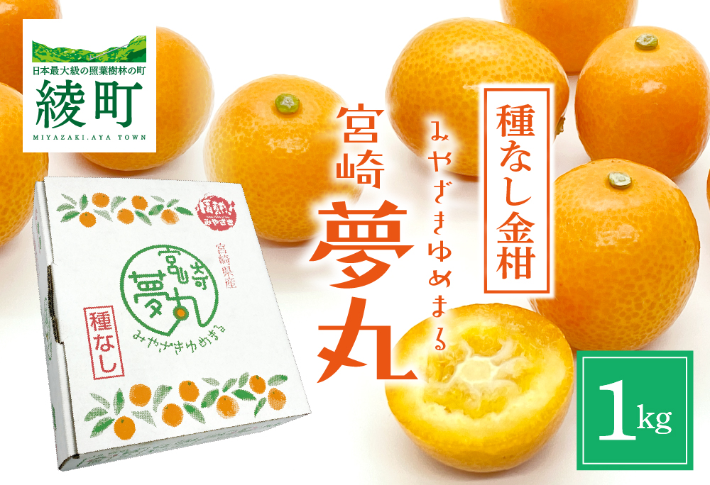種なし きんかん「宮崎夢丸」 1kg 【完熟 金柑 フルーツ 果物 柑橘 希少 特産品 ギフト プレゼント お取り寄せ グルメ 国産 産地直送 送料無料 綾町】