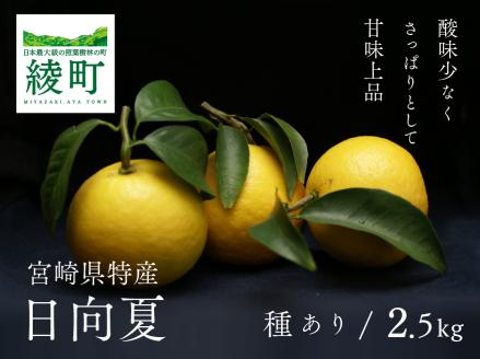 初春の旬「日向夏」種あり2.5kg【先行受付】