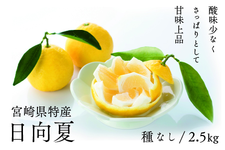 初春の旬「日向夏」種なし ２.５kg
