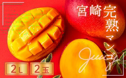 完熟マンゴー ２L×２玉（パック）