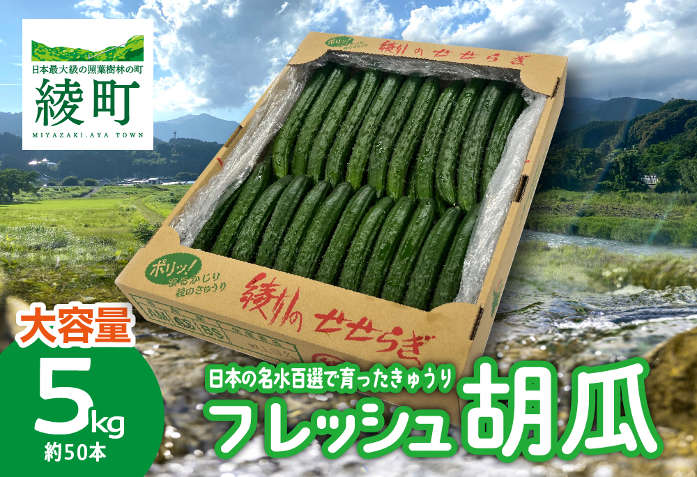 綾川の恵み「フレッシュ胡瓜（きゅうり）」5kg