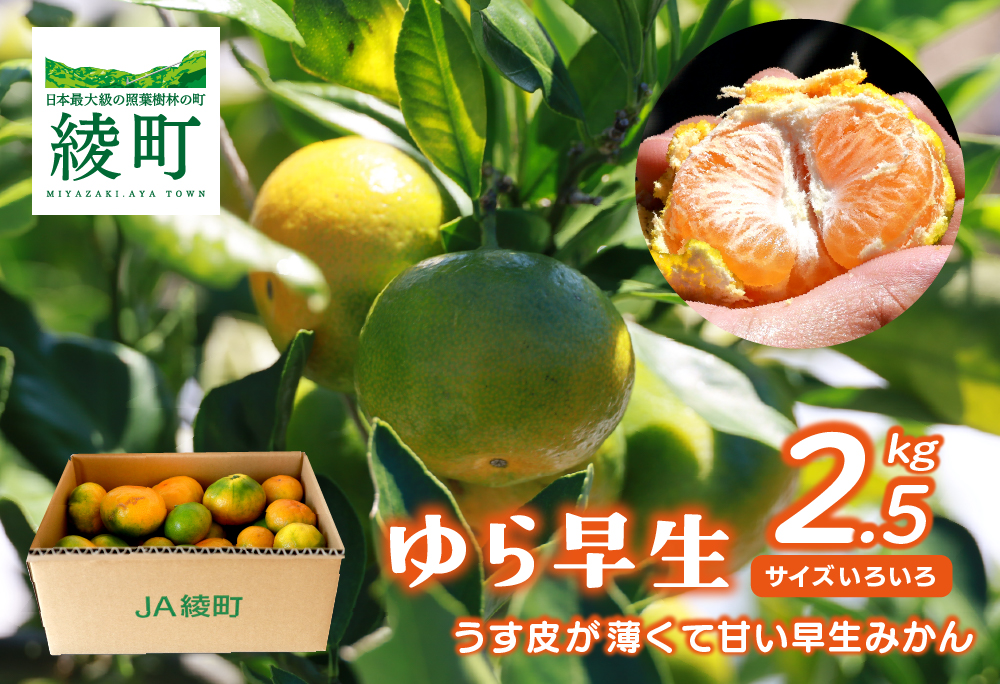 【2025年先行予約】ゆら早生みかん 2.5kg サイズミックス 宮崎県 綾町