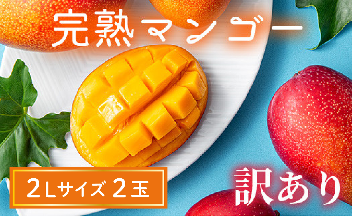 【訳あり】完熟マンゴー 2L×2玉（パック）濃厚 宮崎 果物 フルーツ 贈答 ギフト 甘い 先行受付 送料無料