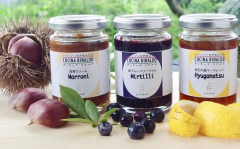 白砂糖フリー フルーツの手作りジャムセット