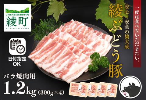 綾ぶどう豚バラ焼肉お試しセット