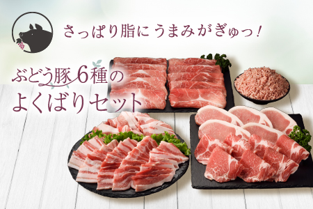 国産 豚肉 ブランド 豚 綾ぶどう豚 詰め合わせ よくばり セット 2.7kg 小分け 調理 バラエティー とんかつ 生姜焼き 焼肉 ミンチ 日時 指定 可能