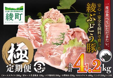 国産 豚肉 ブランド 豚 綾ぶどう豚 よりどり 詰め合わせ 3か月 定期便 セット ロース スライス 生姜焼き バラ 焼肉 小間切れ モモ スライス ミンチ しゃぶしゃぶ