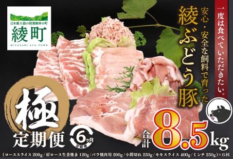 国産 豚肉 ブランド 豚 綾ぶどう豚 よりどり 詰め合わせ 6か月 定期便 セット ロース スライス 生姜焼き バラ 焼肉 小間切れ モモ スライス ミンチ しゃぶしゃぶ