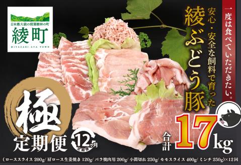 国産 豚肉 ブランド 豚 綾ぶどう豚 よりどり 詰め合わせ 12か月 定期便 セット ロース スライス 生姜焼き バラ 焼肉 小間切れ モモ スライス ミンチ しゃぶしゃぶ