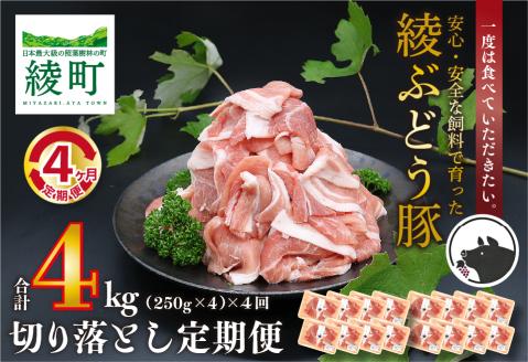 国産 豚肉 ブランド 豚 綾ぶどう豚 切り落とし 4か月 定期便 セット 指定月 中旬 お届け