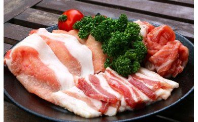 綾豚ファミリーセット