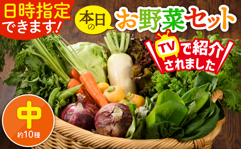 日時指定可能！本日のお野菜セット（サイズ中） 1回