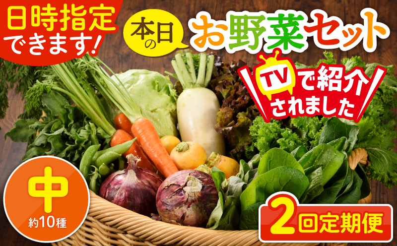 日時指定可能！本日のお野菜セット（サイズ中）【全２回定期便】 全2回【定期便】