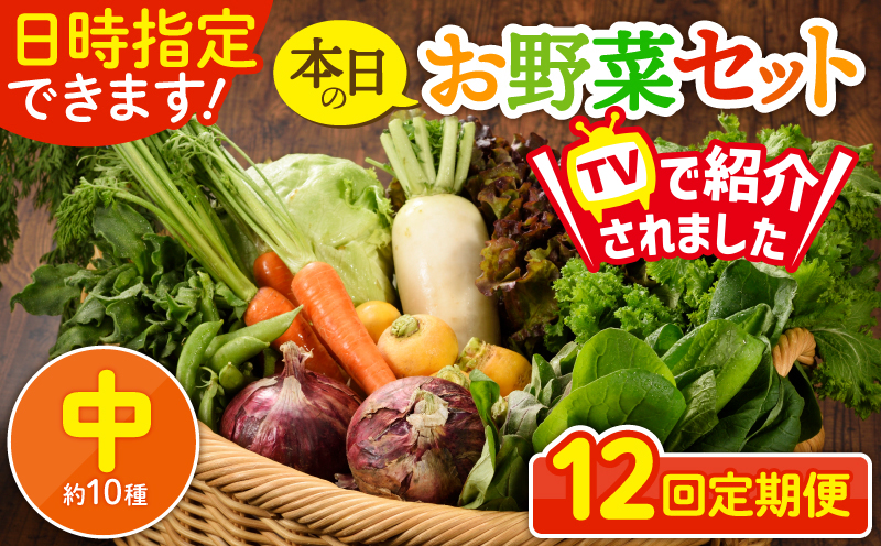 日時指定可能！本日のお野菜セット（サイズ中）【全12回定期便】 全12回【定期便】