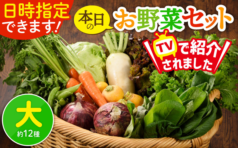 日時指定可能！本日のお野菜セット（サイズ大） 1回