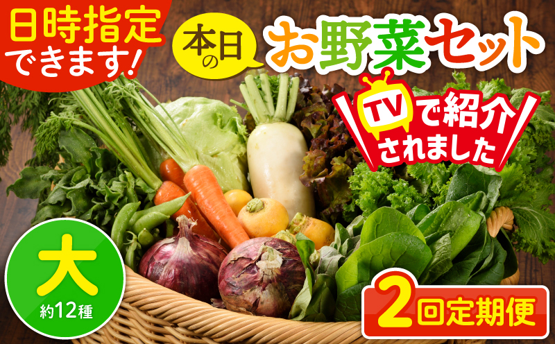 日時指定可能！本日のお野菜セット（サイズ大）【全２回定期便】 全2回【定期便】