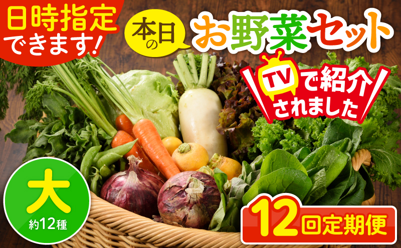 日時指定可能！本日のお野菜セット（サイズ大）【全12回定期便】 全12回【定期便】