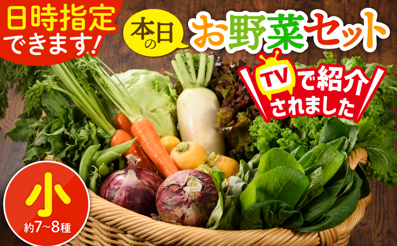 日時指定可能！本日のお野菜セット（サイズ小） １回