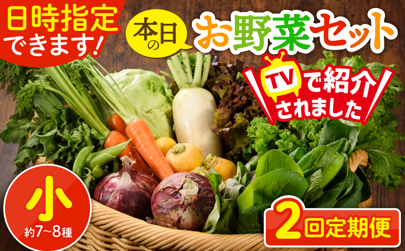 日時指定可能！本日のお野菜セット（サイズ小）【全２回定期便】 全2回【定期便】