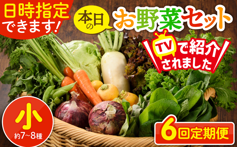 日時指定可能！本日のお野菜セット（サイズ小）【全６回定期便】 全6回【定期便】