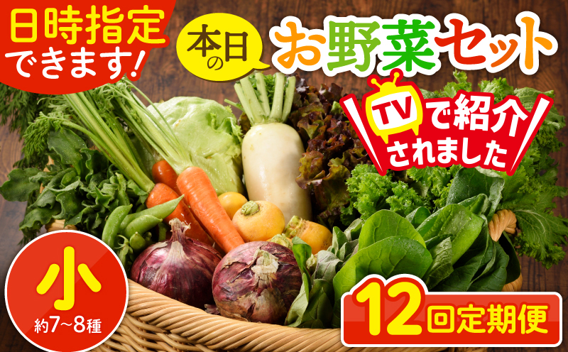 日時指定可能！本日のお野菜セット（サイズ小）【全12回定期便】 全12回【定期便】