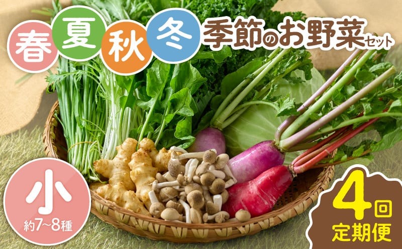 【全４回定期便】春夏秋冬 季節のお野菜セット（サイズ小） 【宮崎県 7～8種 定期便 詰め合わせ 新鮮 産地直送 おまかせ 季節の野菜 ボックス 農家直送 有機栽培 送料無料 オーガニックのまち 宮崎県綾町】 小