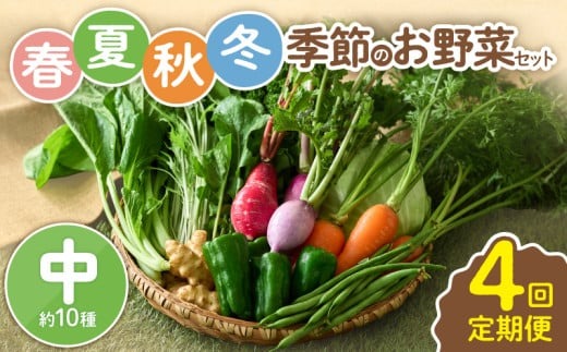 【全４回定期便】春夏秋冬 季節のお野菜セット（サイズ中） 【宮崎県 10種 定期便 詰め合わせ 新鮮 産地直送 おまかせ 季節の野菜 ボックス 農家直送 有機栽培 送料無料 オーガニックのまち 宮崎県綾町】 中