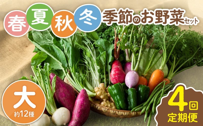 【全４回定期便】春夏秋冬 季節のお野菜セット（サイズ大） 【宮崎県 12種 定期便 詰め合わせ 新鮮 産地直送 おまかせ 季節の野菜 ボックス 農家直送 有機栽培 送料無料 オーガニックのまち 宮崎県綾町】 大