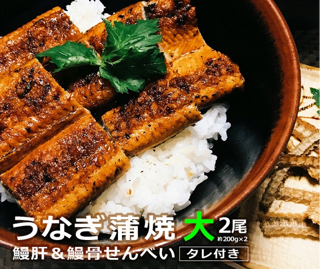 うなぎ蒲焼（大サイズ）２尾 ～鰻肝＆鰻骨せんべい付き～（0065-009）