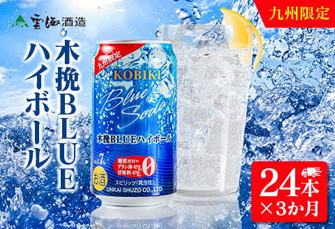 【3か月定期便】雲海酒造 九州限定 木挽BLUE ハイボール350ml×24本（木挽ブルー）