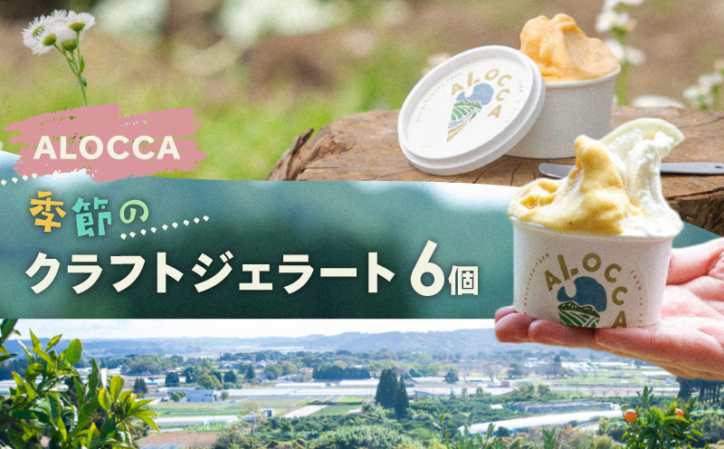日時指定可能◎オーガニックタウン綾町から届く、季節のクラフトジェラート〈６個セット〉 6個セット