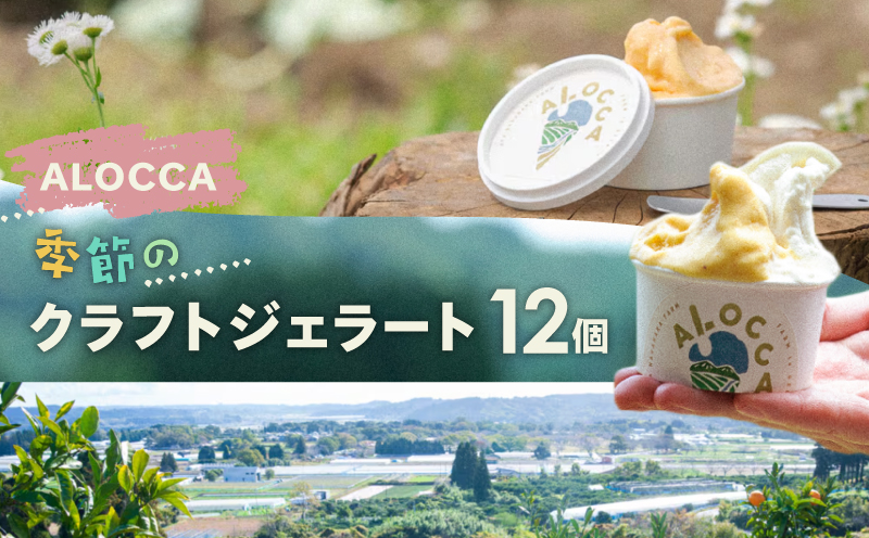 日時指定可能◎オーガニックタウン綾町から届く、季節のクラフトジェラート〈12個セット〉 12個セット