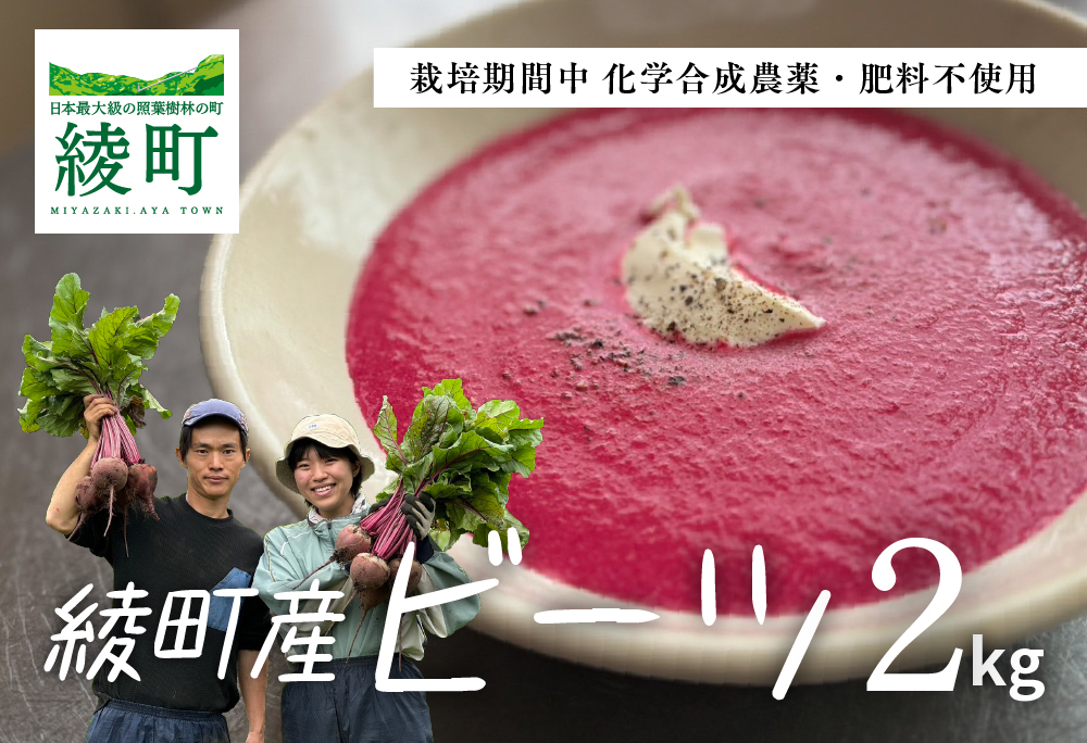 綾町産ビーツ ２kg[おすすめレシピ付き]