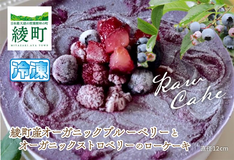 綾町産オーガニックブルーベリーとストロベリーのローケーキ