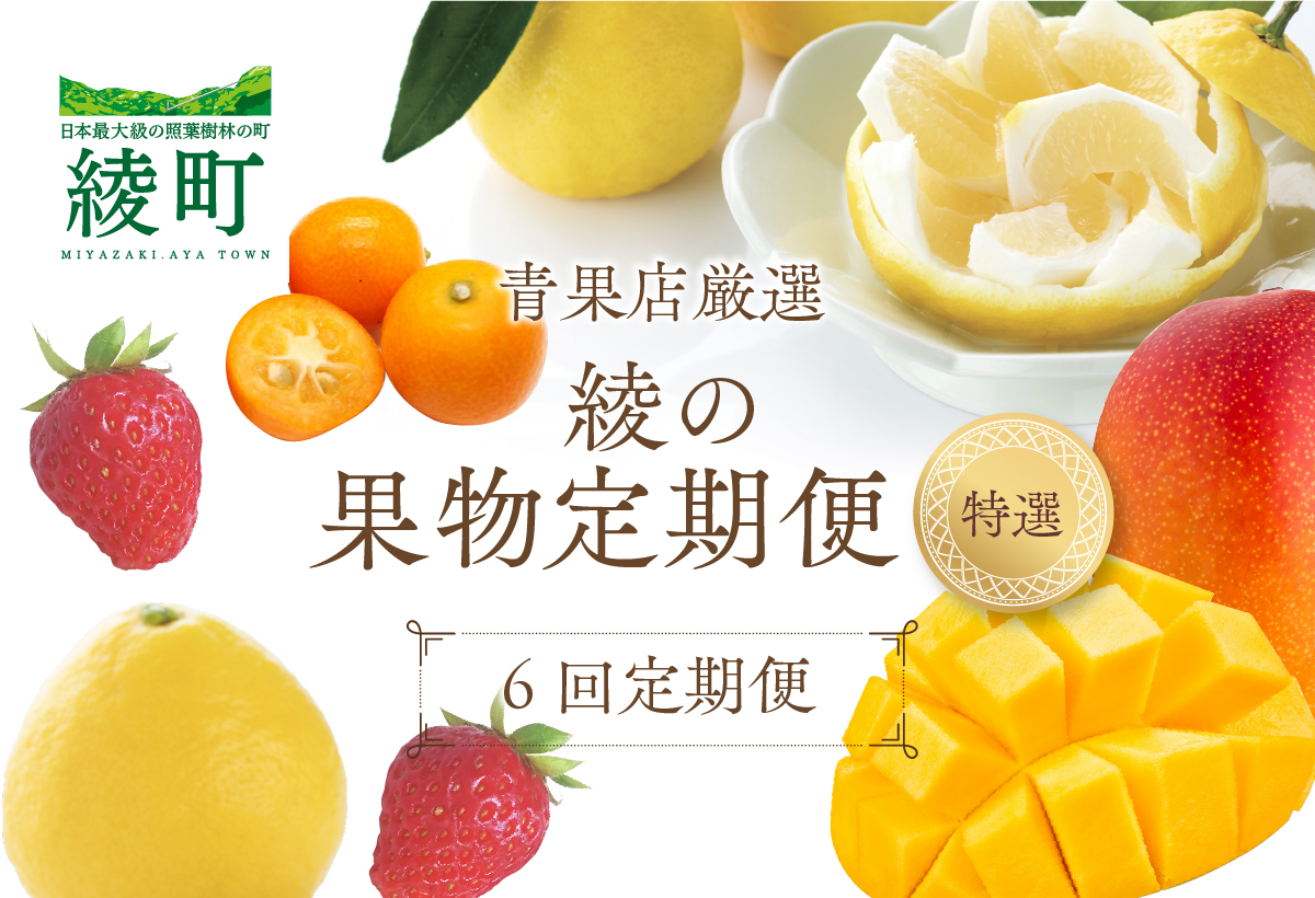 【全6回お届け】特選！！宮崎県綾町産 果物定期便 [Y22]