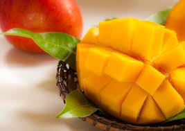 【全3回お届け】至極 完熟マンゴー 4L・2玉［Z21］ 4L