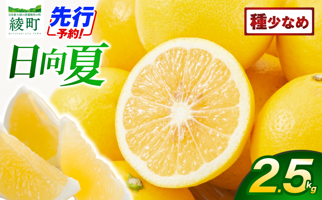【先行受付】初春の旬「日向夏」種が少ない 2.5kg 果物 フルーツ くだもの 柑橘 フルーツサンド おやつ スイーツ デザート ジャム おすすめ ギフト 贈り物 贈答 プレゼント おすそ分け お返し 宮崎県 綾町 送料無料【JA綾町】_A0114-242