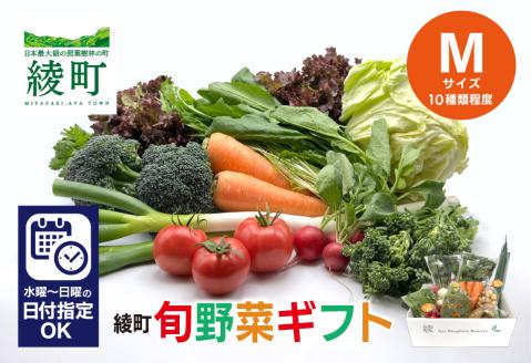 綾町旬野菜ギフト(Mサイズ)(04-68)無農薬 減農薬 栽培期間中 新鮮 産地直送