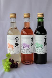 02-54_明日への活力 すっきり辛口 〜ワインミニボトル 3種〜