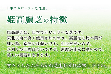 ＜姫高麗芝 2平方メートル＞※2か月以内に順次出荷