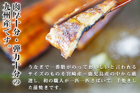 ＜職人手焼き九州産うなぎ 蒲焼き3尾（6切れ）計390g前後＞
