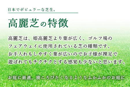 ＜高麗芝 2平方メートル＞2か月以内に順次出荷