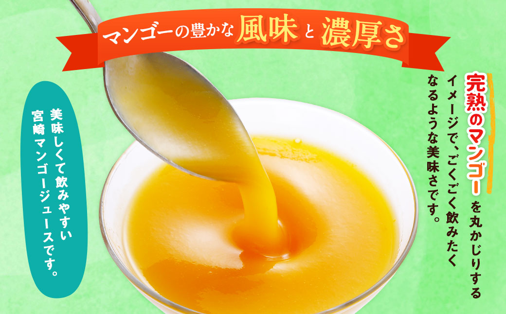 ＜宮崎県産マンゴージュース 極極 500ml＞翌月末迄に順次出荷